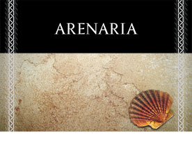 Фактурная штукатурка arenaria имитирует эффект натурального песчаника  