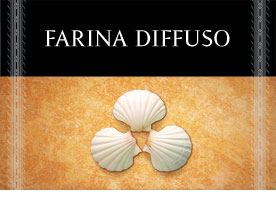 Farina Diffuso одна из лучших декоративных штукатурок в Казани