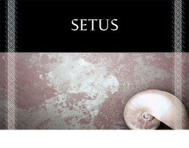 setus - декоративная штукатурка, которую может нанести каждый